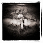 dsots-20
