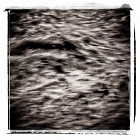 dsots-5