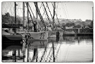Imoca in PLF 